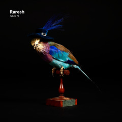 Raresh: fabric 78 promo mix