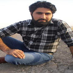 -Mohammad - Alizadeh