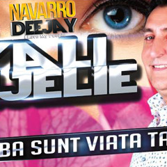 Vali Vijelie - Ba Sunt Viata Ta Navarro Vrs.