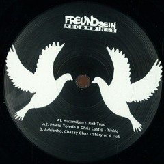 Adrianho, Chazzy Chaz - Story Of A Dub // Only Vinyl // FreundSein Recordings // FS001