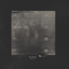VP002 - Ëlohim - Terrarium (Deepneue Interpretation & NGLY Satan Bug Remix) Snippets 90secs