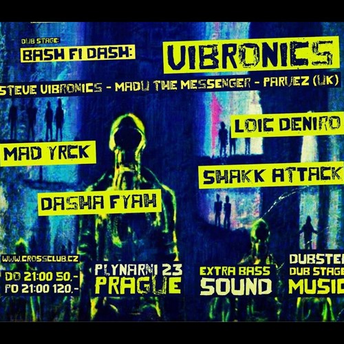 DJ Dasha Fyah - Vibronics special ( DubForce radio set 2014)