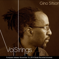 VoiStrings