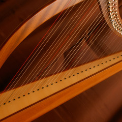Kontakt Celtic Harp - by ARIA Sounds