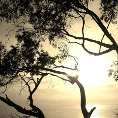 Paradoxic- Back2Back