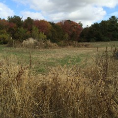 Fall