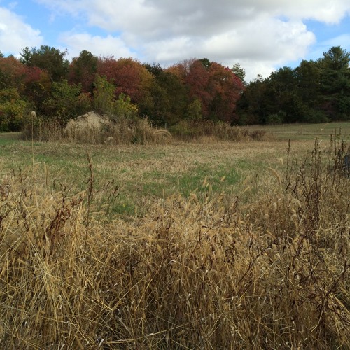 Fall