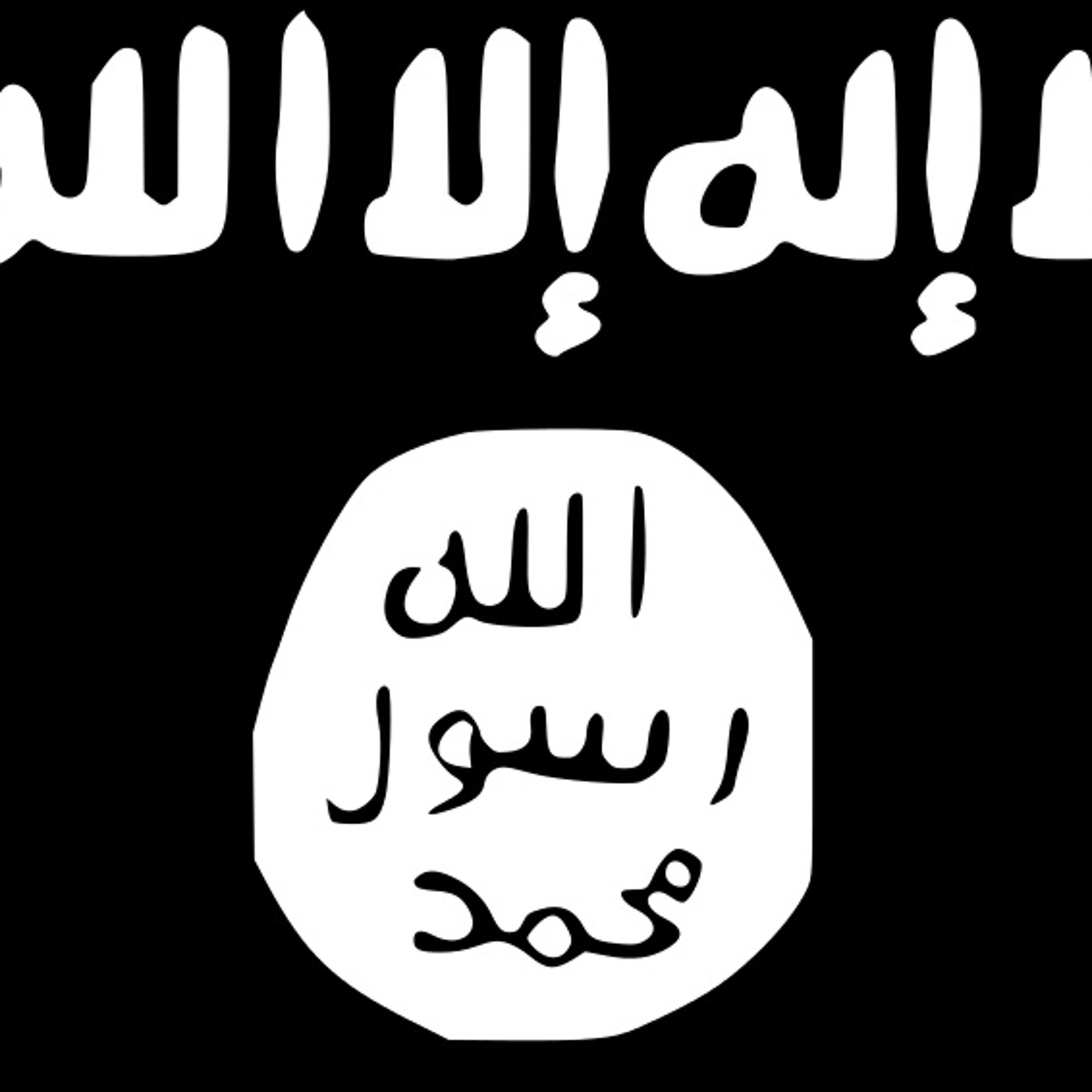 Trinity Professor Vijay Prashad Talks ISIS episode artwork