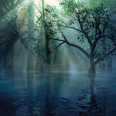 Halcyon - Ancient Forest