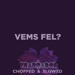 Leslie Tay - Vems Fel - Chopped Slowed Trappadon