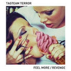 Tagteam Terror - Revenge(DEMON remix)