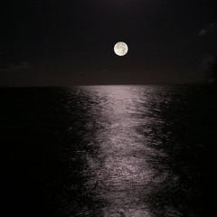 Brian Fadeway - Lazarus (Porcupine Tree Cover)