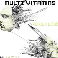 Polar Lights - Silver Hord (Multi Vitamins records - Various Artists)