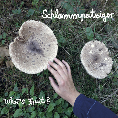 Schlammpeitziger - Augenwischwaldmoppgeflöte Schlammpeitziger - Augenwischwaldmoppgeflöte
