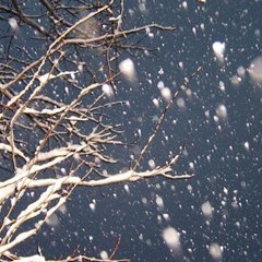 You Like To Give Me Looks (feat. Nick Blaemire)