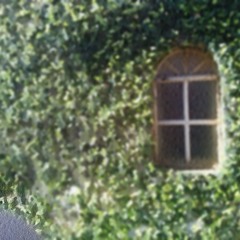 The National Anthem (cover Radiohead)