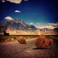 Tumble Weeds on the Spanish Highway - Part 2 - Featuring Jamie Rhind