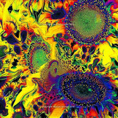 Psychedelic Sunflower "The Solution" Balboa girls/WG⚡️ Recording 10-22-14
