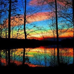 Turning Towards The Light