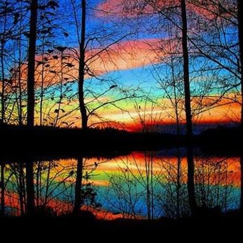 Turning Towards The Light