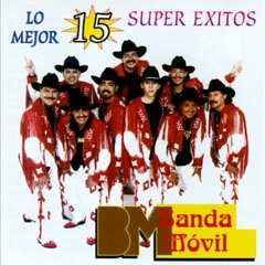BANDA MOVIL El Bigoton