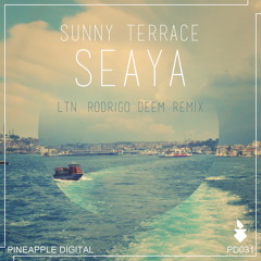 Sunny Terrace - Seaya (LTN Remix) [Pineapple Digital]