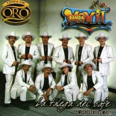 BANDA MOVIL El Quebrador