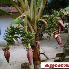 Theme Azhakiya Ravanan