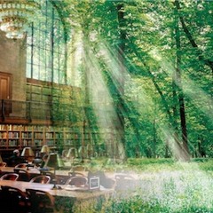 BIBLIOTECA 1. BOSQUE