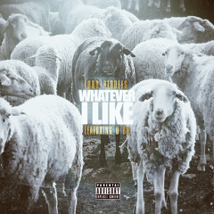08 Whatever I Like (Produced By Lord Riddles) feat D BO
