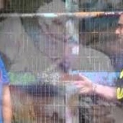 HEAVEN OR HELL  EDSKI 2014