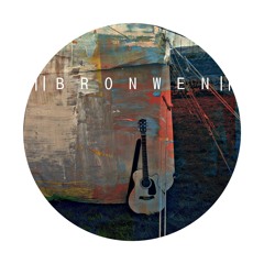 Enough (guitar - live demo)