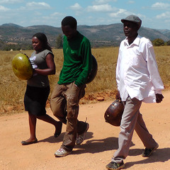 Bukatiende (a taste)