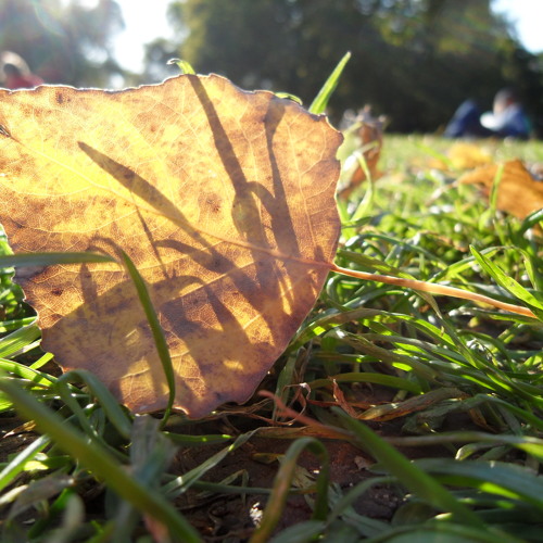 Download Colours Of Fall Part 4