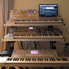 THIRTEEN TRACK PARAFALL