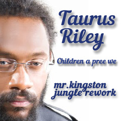 Taurus Riley - Children a pree we (mr.kingston jungle rework)