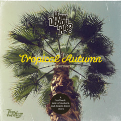 DJ-MIX: Tropical Autumn 2014 (a laidback Mix Of Modern Sad - Beach - Disco by DJ Supermarkt)