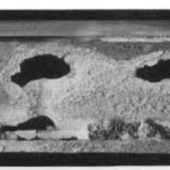 Point Of Corrosion