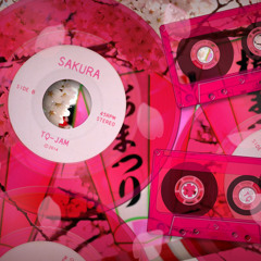 SAKURA(2A03+N163)