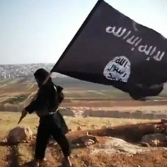 Invasive Species(Preview)