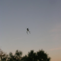 Fuckin Mixtape Volume One