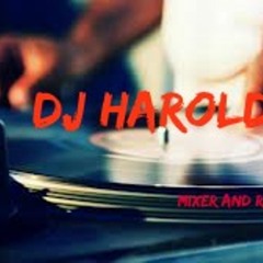 108 BPM - Sean Paul - Get Busy - DjHarold [Mixer and Remixer]