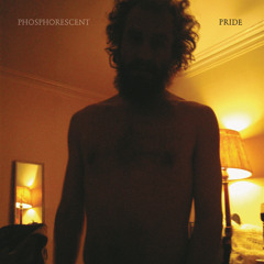 Phosphorescent - 'A Picture Of Our Torn Up Praise'