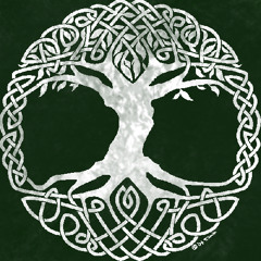 Celtic Guitar - The Rights of Man