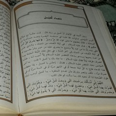 دعاء كميل مهدي صدقي