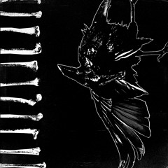 Lair of Wild Beasts (Demo Mix)