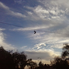 Tricahue Impro Peaceful