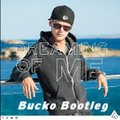 Dreaming Of Me -Avicii (Bucko "Wake Me Up" Mashup)
