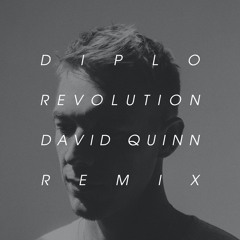 Diplo - Revolution (David Quinn Remix)