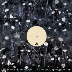 Andrei D, Radu Mirica - Cerul Doarme (Maxim Sunbeat Remix) Conceptual